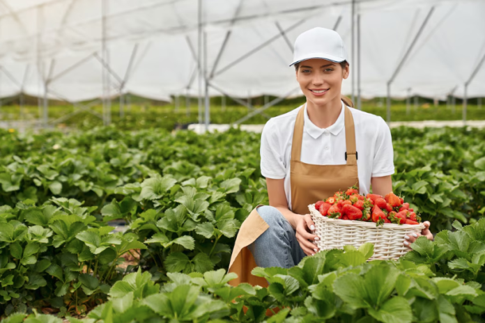 Farm jobs in australia